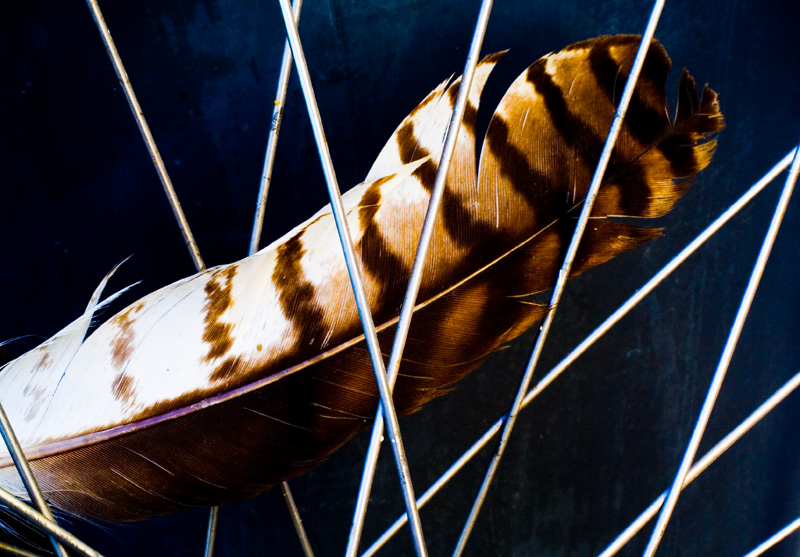Spoked