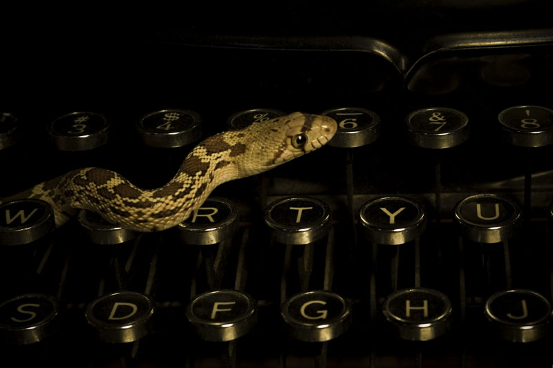 Slither #6