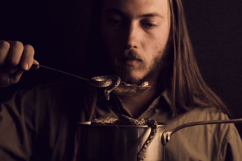 Three-snake  Soup