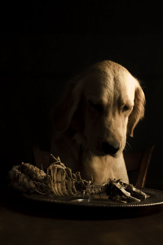 Dinner