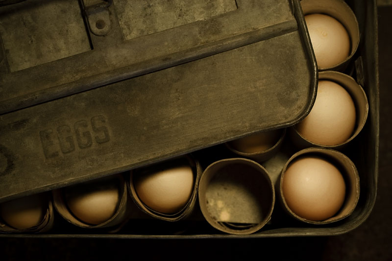 Eggs (Alphabet Series-E)