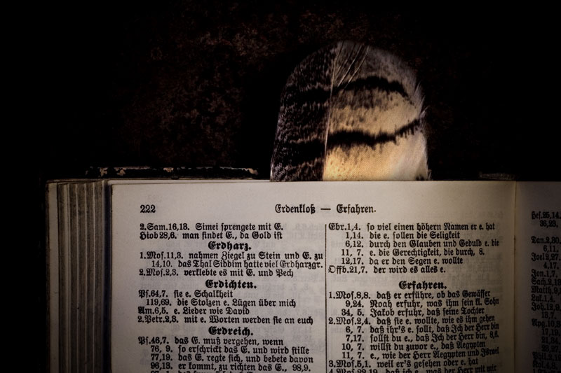 Bookmark #3