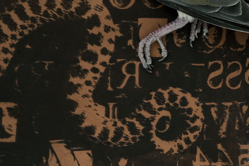 The Serpent and the Dove