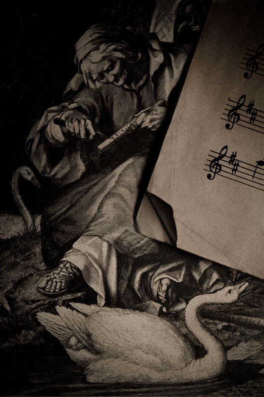 Dog-eared Swan Song