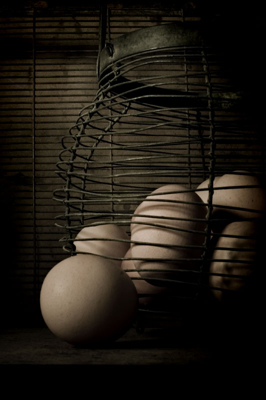 All Eggs in One Basket- Save One