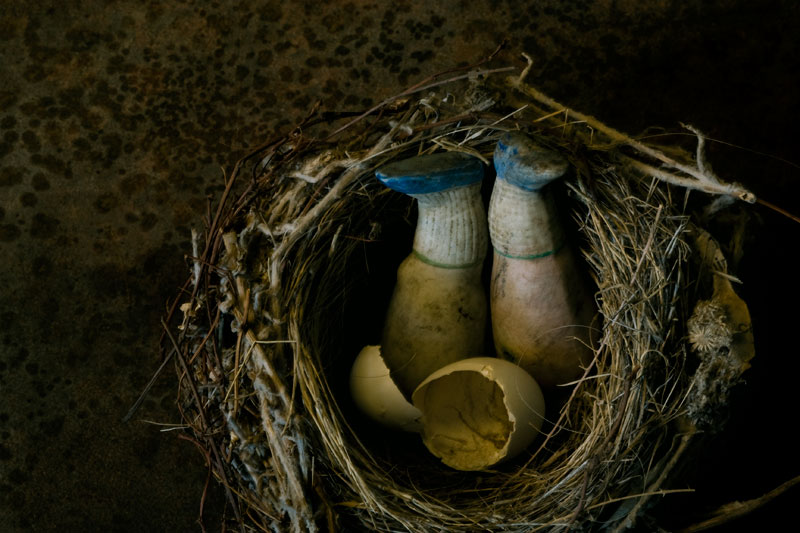 Hatched