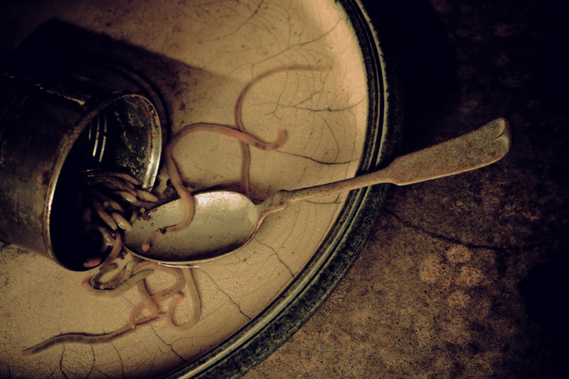 Worm Soup #2