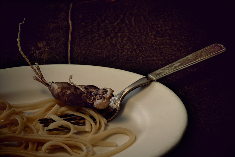 Feast (Happy New Year!)