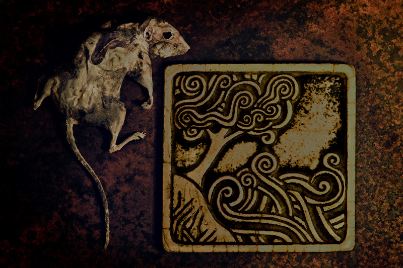 The Tile & the Rat