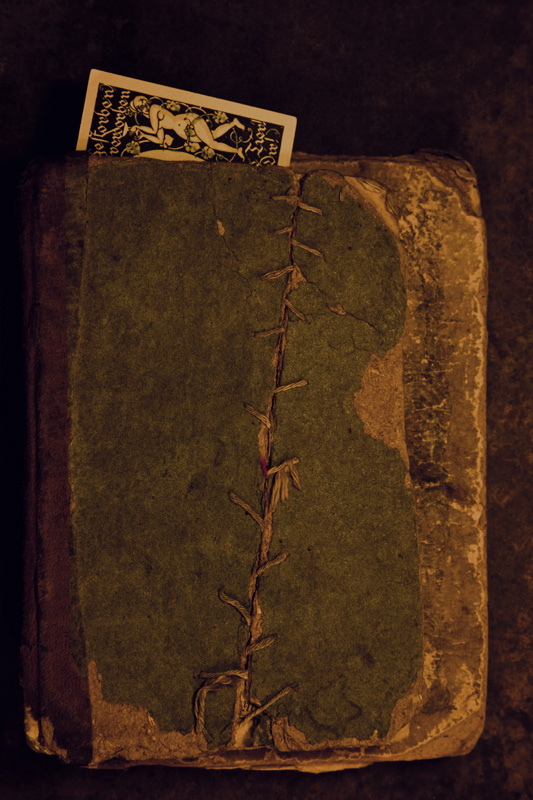 Stitched #7 (Bookmark Series #11).