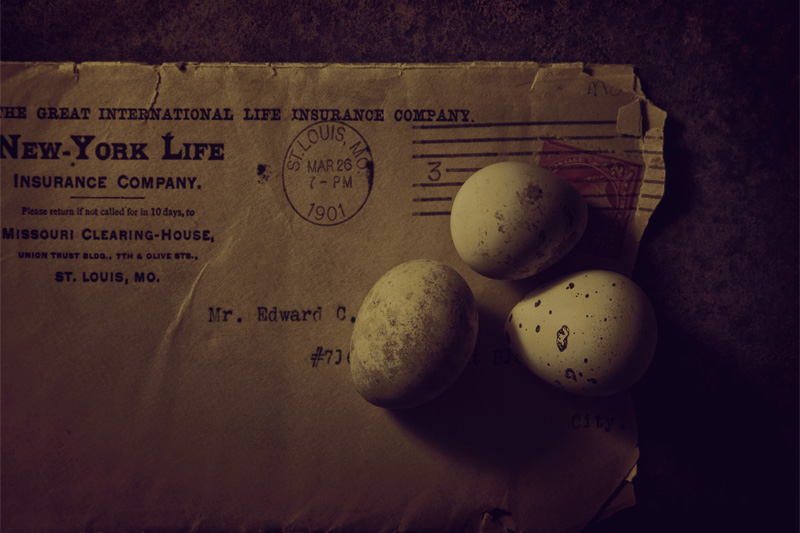 Eggs on an Envelope (Alphabet Series #2- E)