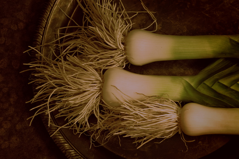 Leeks (Alphabet Series #2-L)