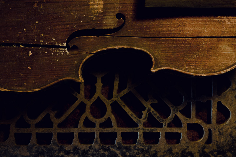 Violin on the Vent (Alphabet Series #2- V)