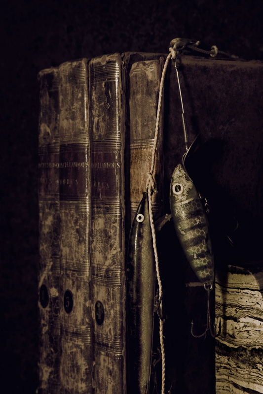 Fish Stories
