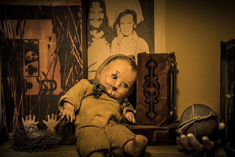 Shelf Life