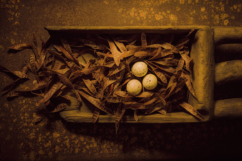 Nested #21