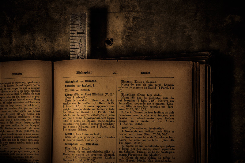 Bookmark #13