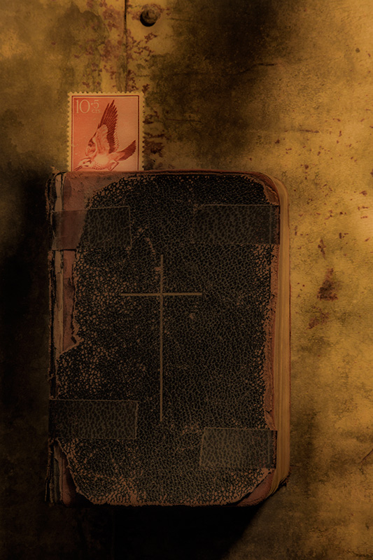 Bookmark #14