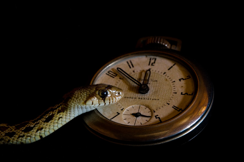 Does Anybody Know What Time It Is?……. #4