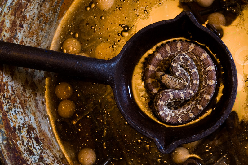 Snake Soup #2