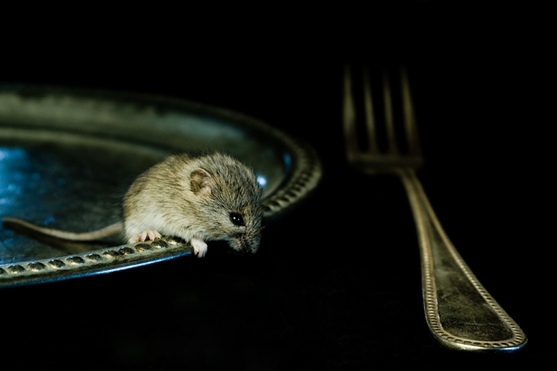 Morsel #7