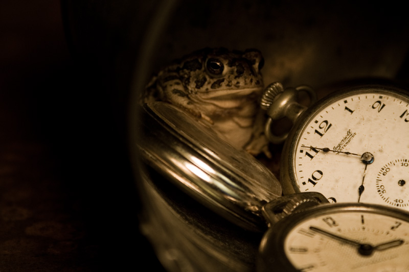 Keeper of the Time