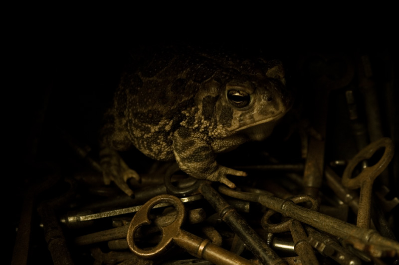 Keeper of the Keys