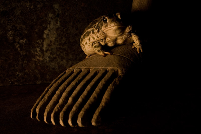 Keeper of the Wooden Foot