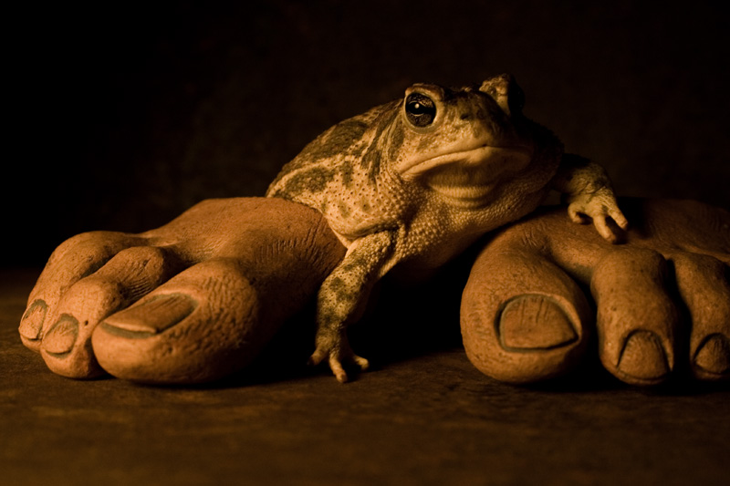 Keeper of the Toes