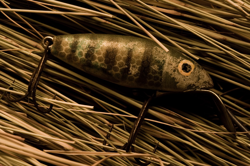 Lure in the Grass