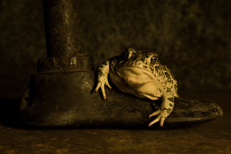 Keeper of the Iron Foot