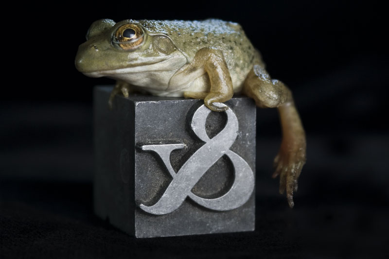 Ampersand (Cling Series #2)