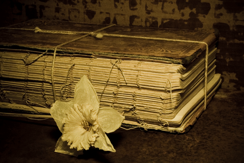 Bound #9 (Tied, Bound, Bundled, Laced Series #15)