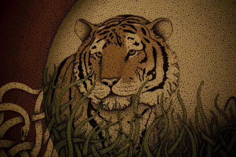 Tiger in the Grass