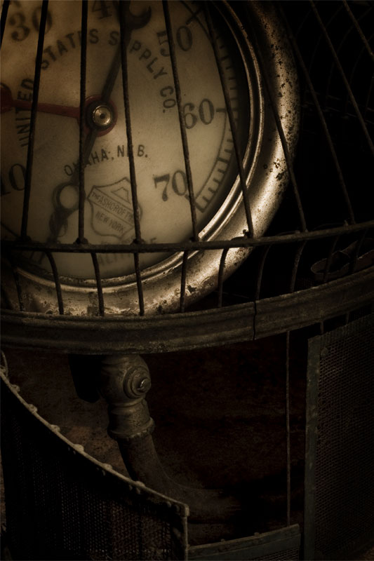 Guage in a Cage (Rhyming Series)
