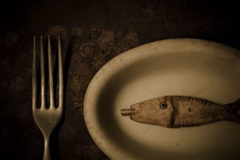 Fish on a Dish (Rhyming Series)