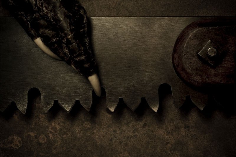 Claw and Saw (Rhyming Series)