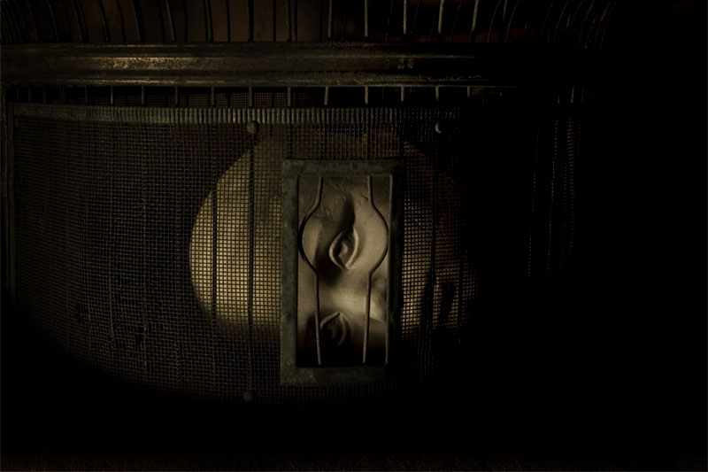 Caged #8
