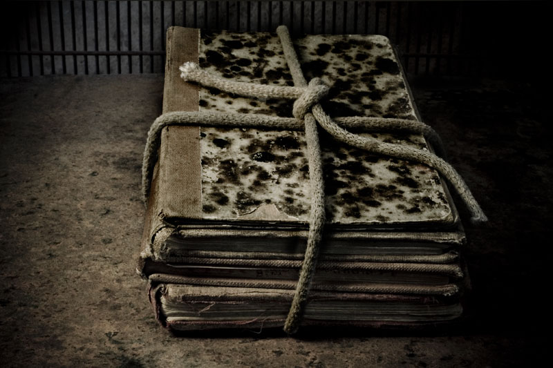 Bundled #3