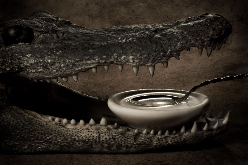 Crocodile Tears Soup