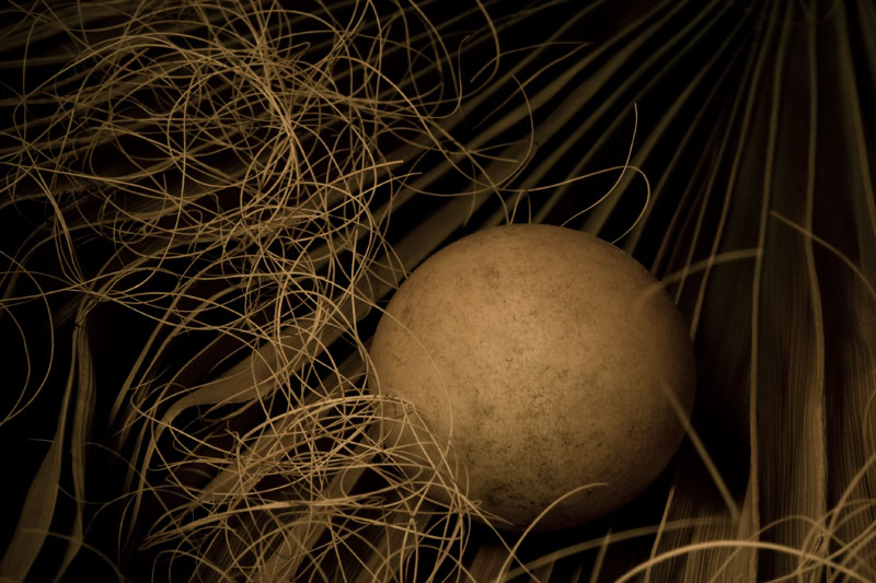 Yttrian Pong Bird Nest