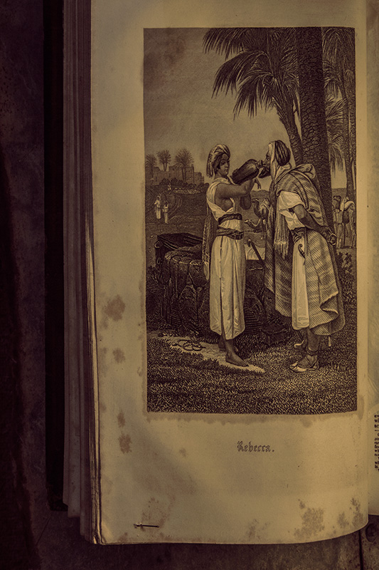 The Cottage Bible #2: Rebecca
