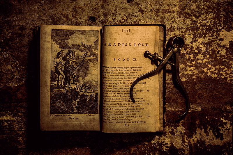 Milton: Paradise Lost: Book 11