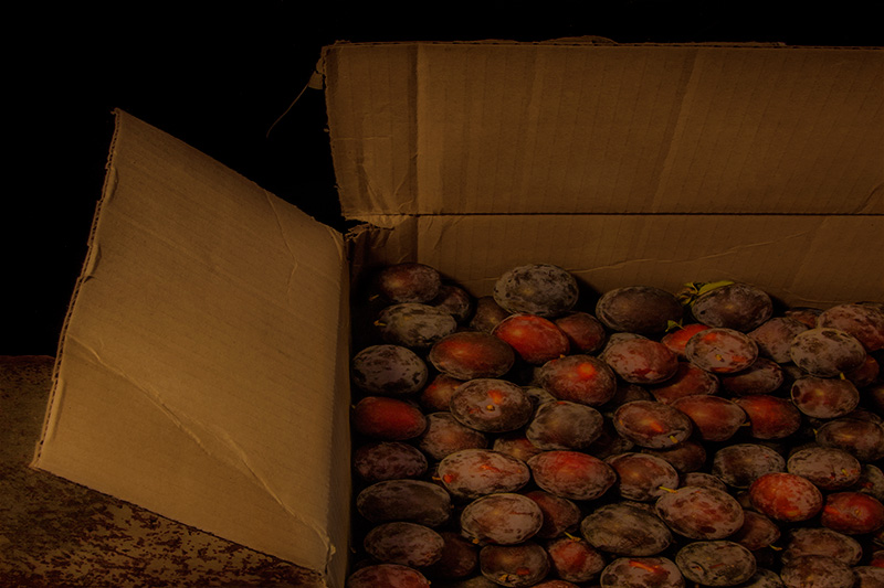 Boxed #33