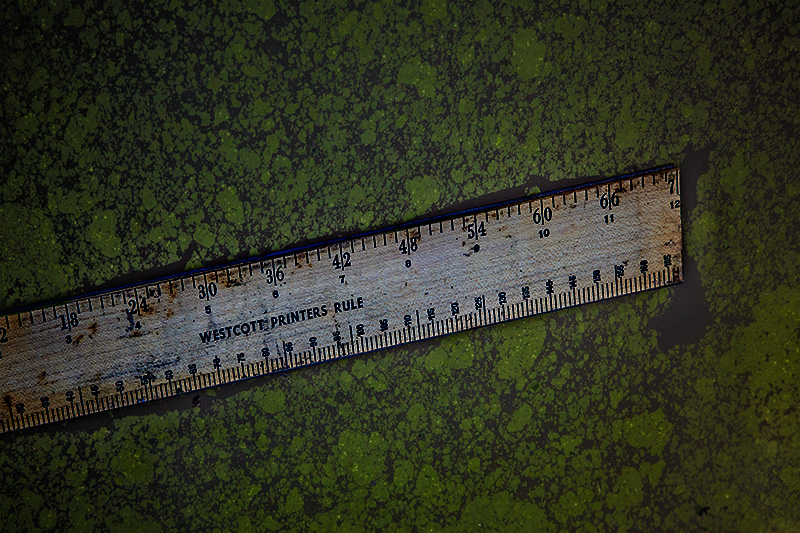 Ruler on Scum