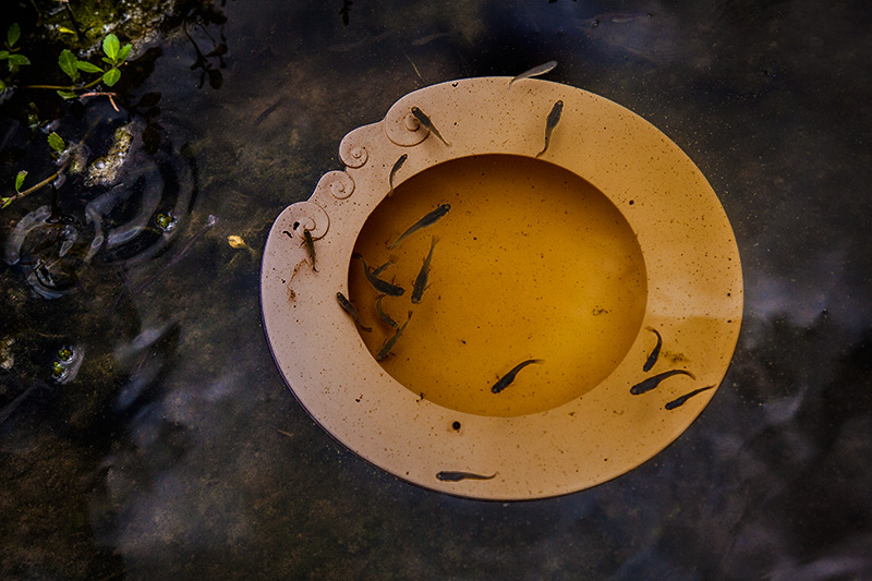 Submerged