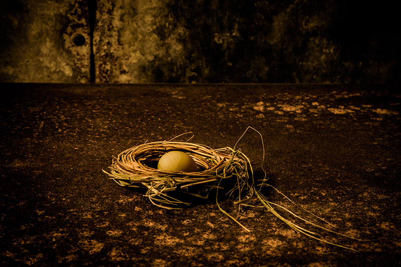 Nested #29