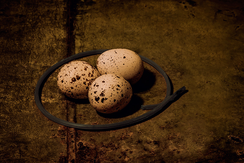 Simplest Nest
