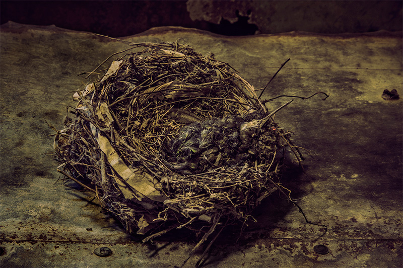 Decomposed