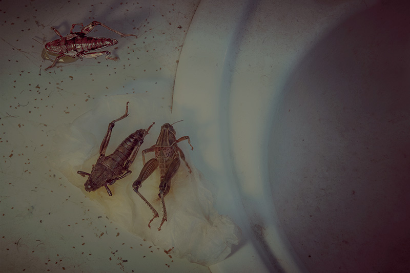 Beside the Sink